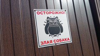 Тольяттинец отсудил у города 45 тысяч за укус чипированной собаки