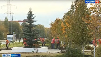 Аллея Здоровья областной столицы продолжает объединять неравнодушных граждан Самары