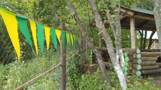 В Самарской области продлили срок получения компенсации за детский лагерь