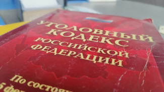 В Самарской области лесничего подозревают в получении взятки