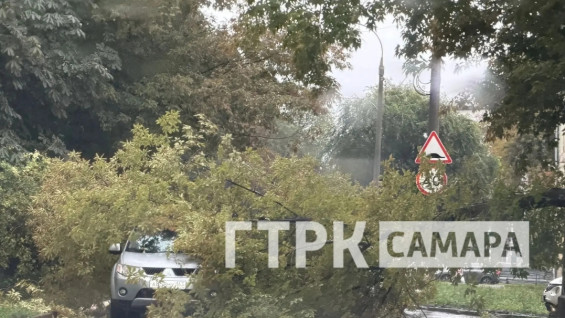 Дерево рухнуло на легковой автомобиль 7 сентября в Самаре