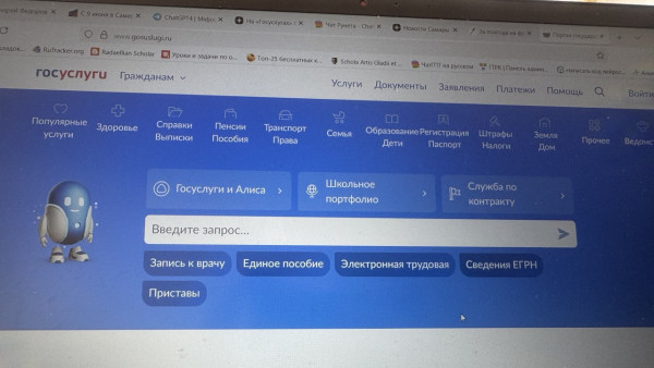 Самарцам будут доступны 35 новых сервисов на Госуслугах