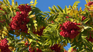 Самарцам рассказали какая погода их ждет в первые выходные октября