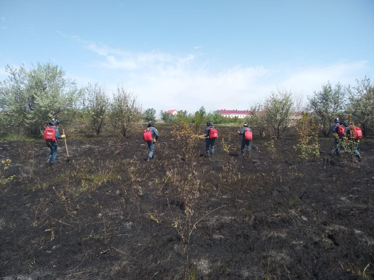 В поселке Яицкое с домов огонь перекинулся на камыши – Новости Самары и  Самарской области – ГТРК Самара