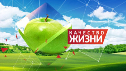 Качество жизни