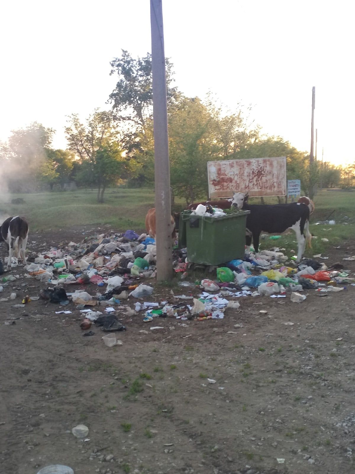 Остров Проран Самарская область