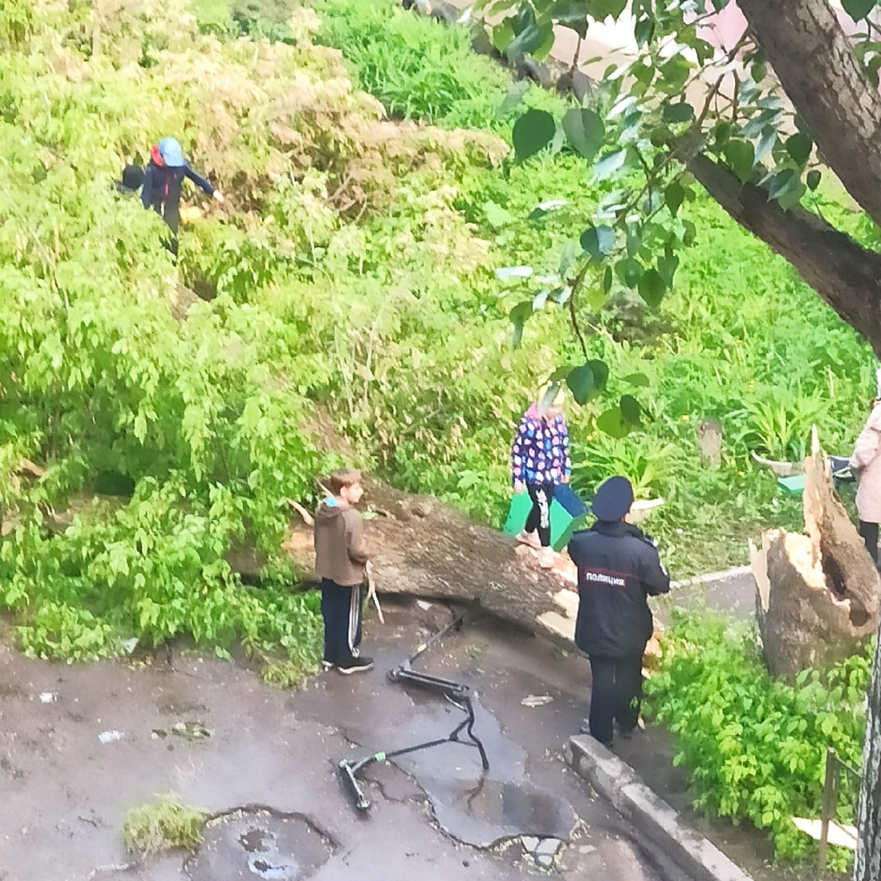 Появились последствия. Последствия урагана в Самаре. Ураганный ветер. Последствия урагана в Новокуйбышевске. Авария гроза.