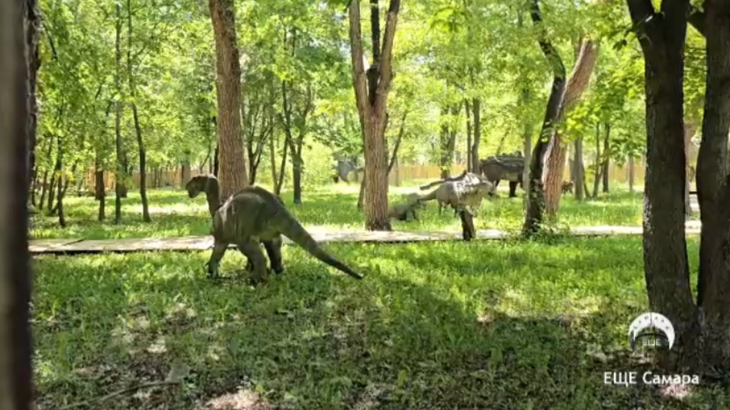 В Самаре в парке Дружбы появились динозавры | 31.05.2024 | Самара -  БезФормата