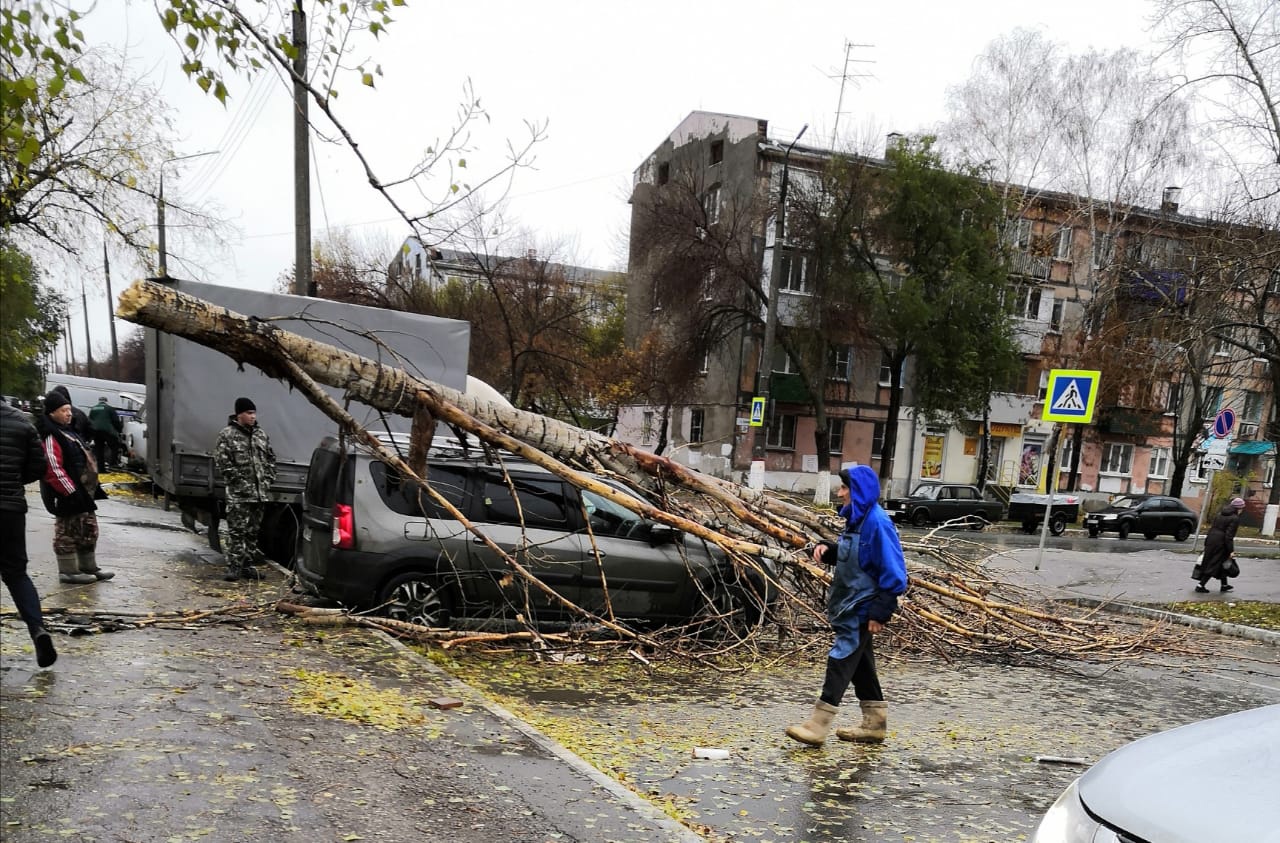 Пошел на рынок — нажил проблем. Под Самарой автомобиль разбомбило тополем |  30.10.2022 | Самара - БезФормата