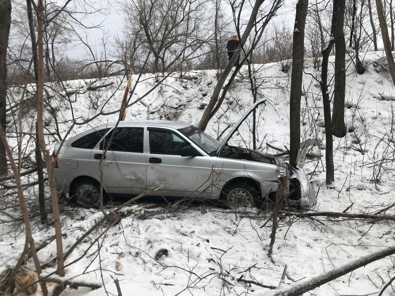 Жена дала в лесу порно видео