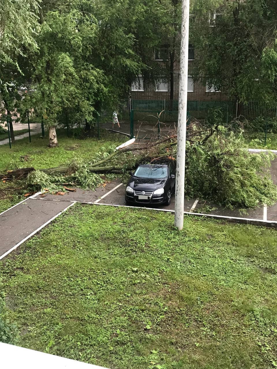 Изменения с 25 июля. Ураган в Самарской области. Ураган в Тольятти сейчас. Деревья в Сочи. Ливень в Сочи 2022.